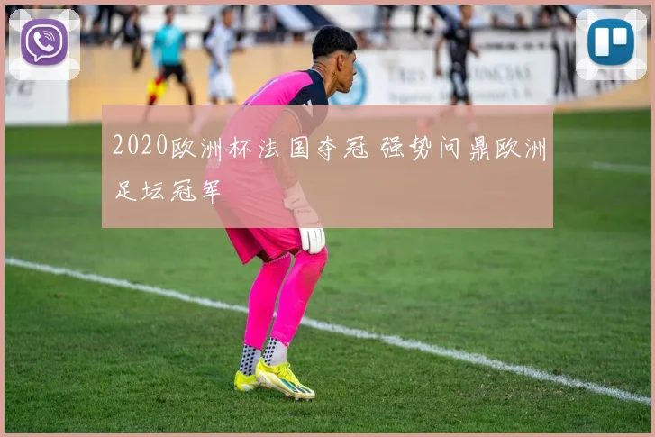 2020欧洲杯法国夺冠 强势问鼎欧洲足坛冠军