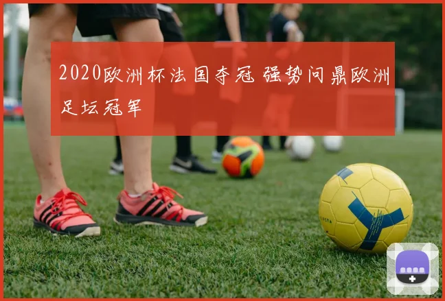 2020欧洲杯法国夺冠 强势问鼎欧洲足坛冠军